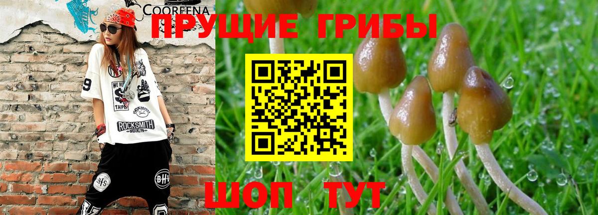 Галлюциногенные грибы мицелий Касимов